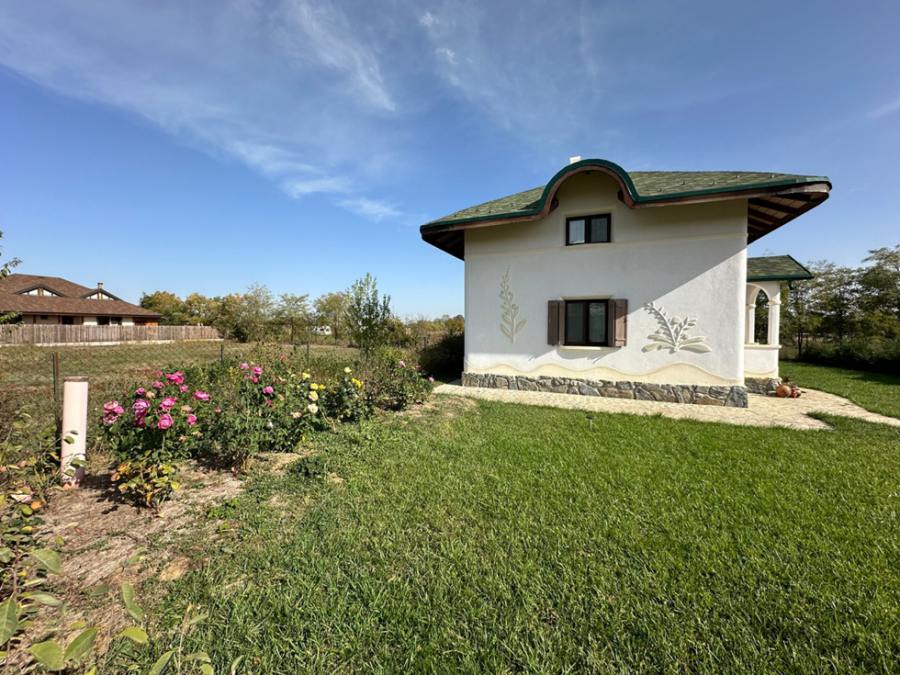 Instalație DAUZUC integrată în grădină — zonă umedă construită